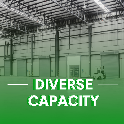diverse-capacity-en